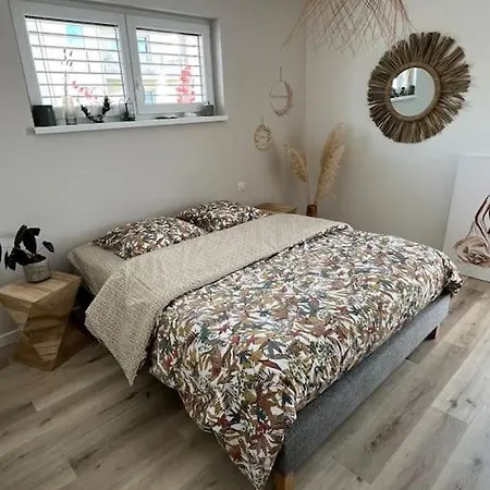 De L'elbe Proche Europapark En Alsace ヴィラ *