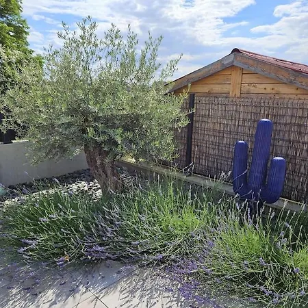 De L'elbe Proche Europapark En Alsace ヴィラ マルコルスハイム