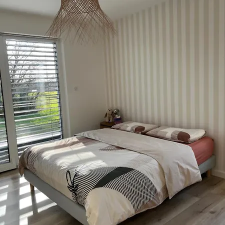 De L'elbe Proche Europapark En Alsace